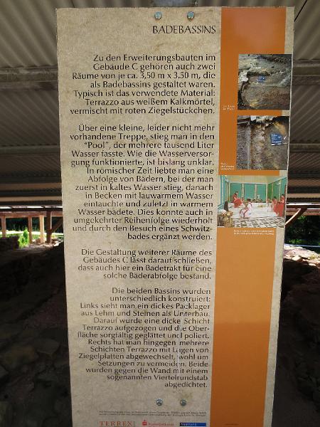 Schwarzwalder Hochwald dag 2- (92).JPG
